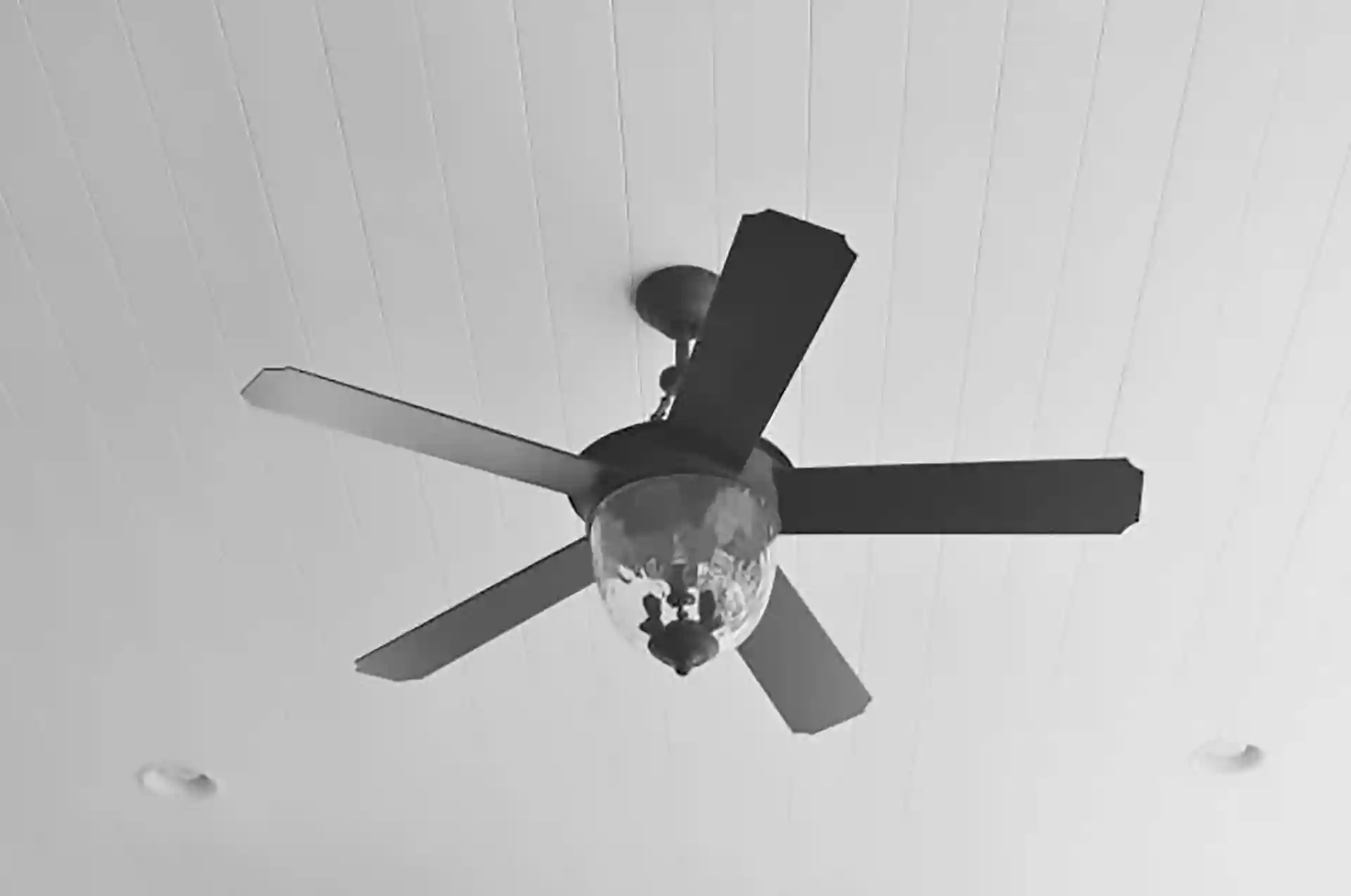 A black ceiling fan with five blades and a glass light fixture, installed on a white-paneled ceiling.
